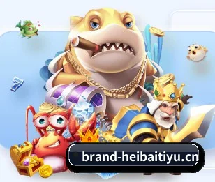 黑白体育 APP